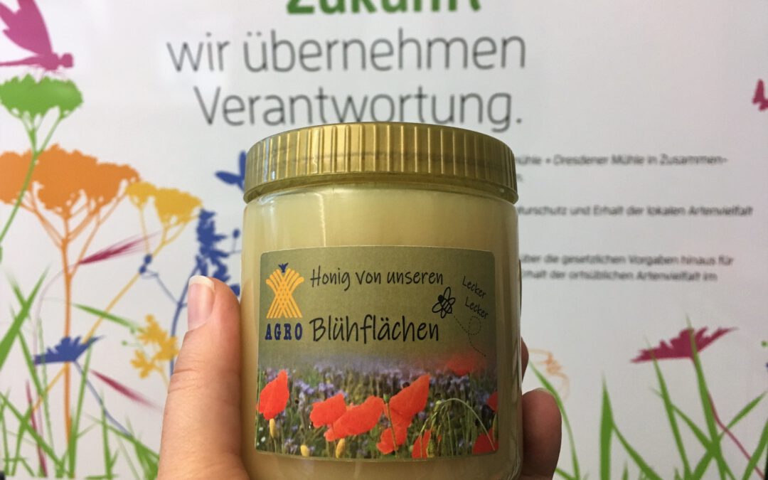 Landwirt und Imker gemeinsam: Honig von den Blühflächen!