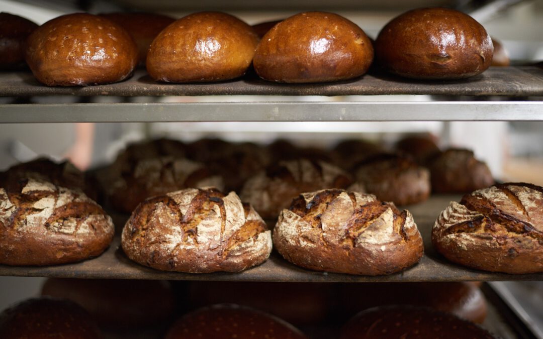 Bäckerei Wippler: Moderne Tradition am Dresdner Elbhang