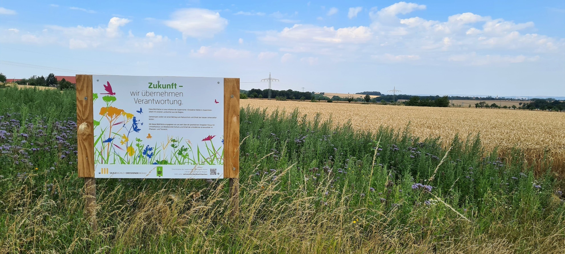 Die Irmer GbR hat 2020 zwei Blühflächen im Raum Unkersdorf.