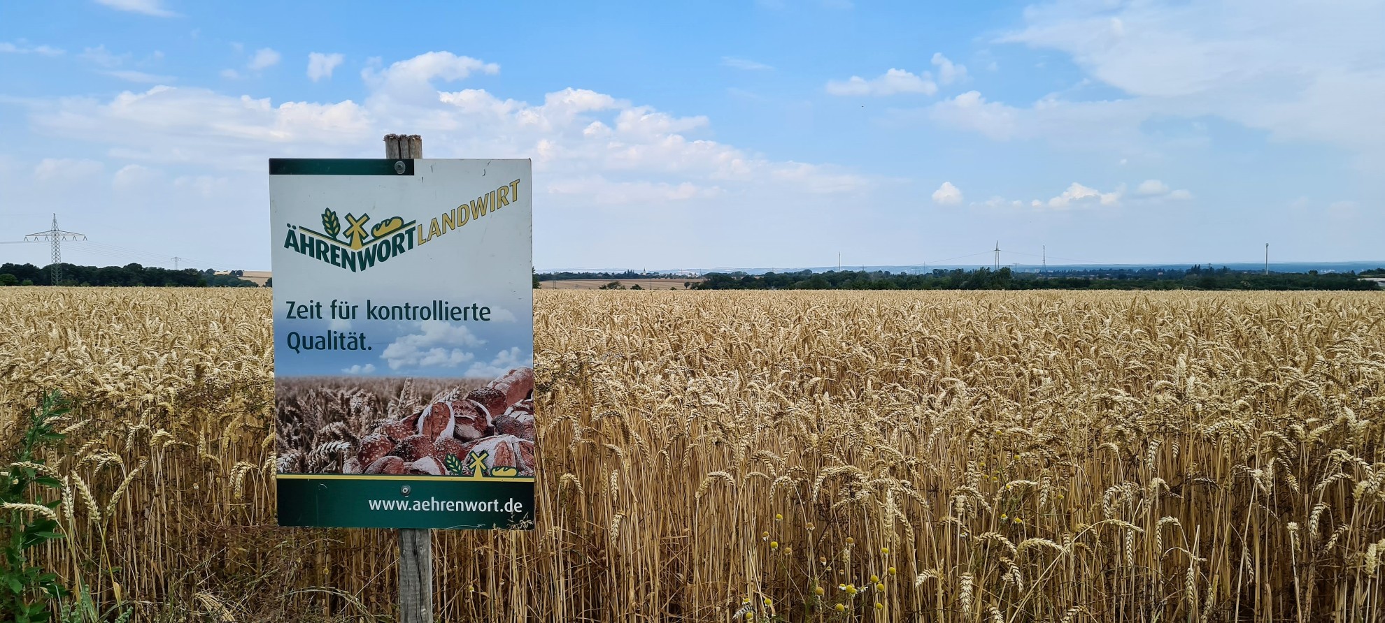 An den Flächen der Irmer GbR finden sich ab und an auch Ährenwort-Schilder - hier eines mit dem noch alten Schriftzug.